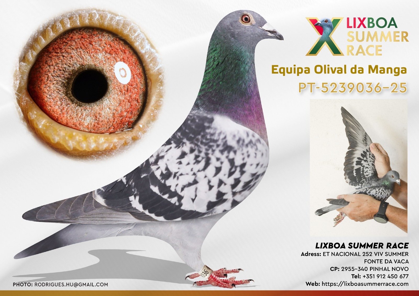 PT-5239036-25 PT-5239036-25 - Image 1