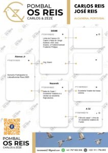 PT-5275135-25 - Image 2