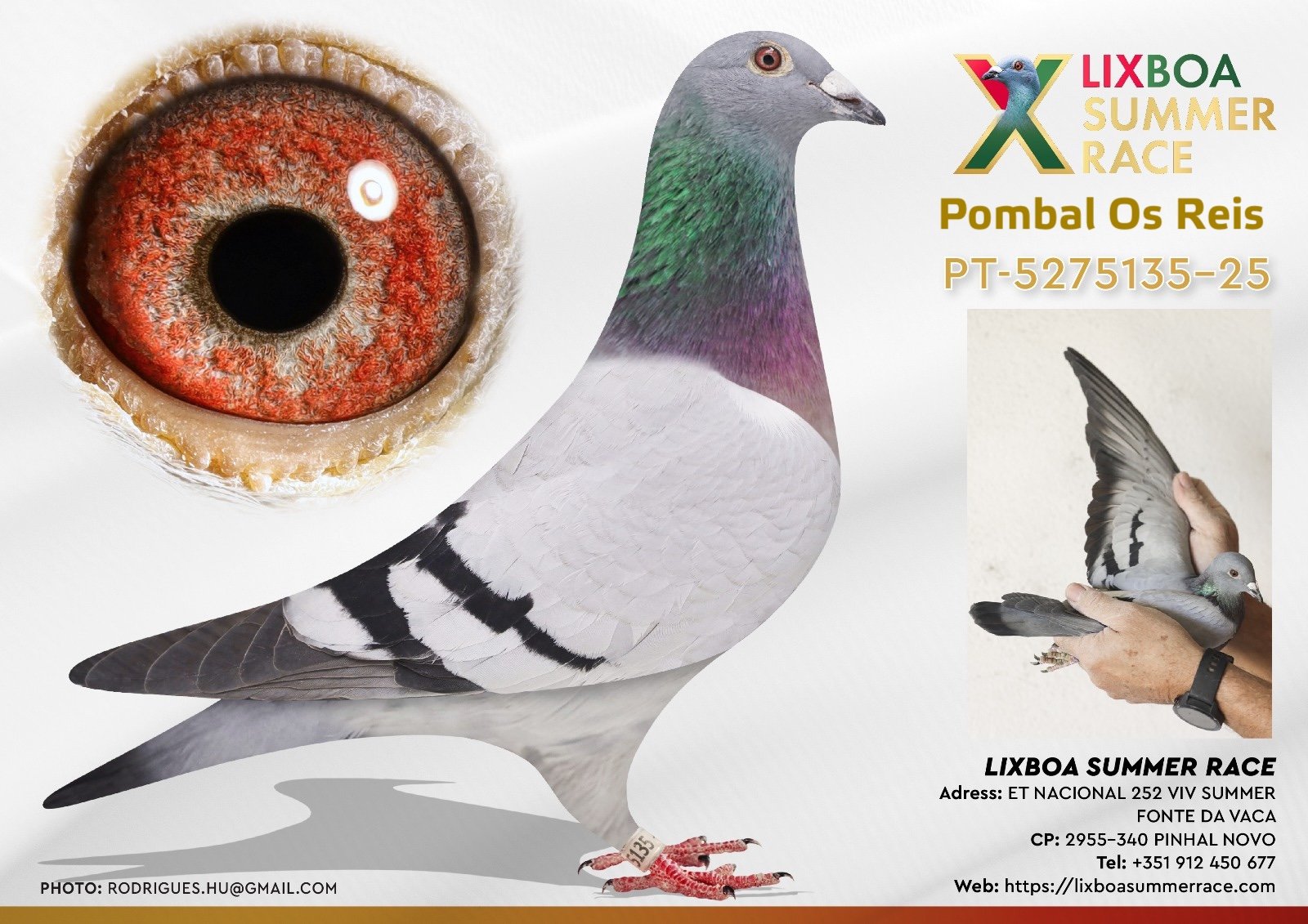 PT-5275135-25 PT-5275135-25 - Image 1