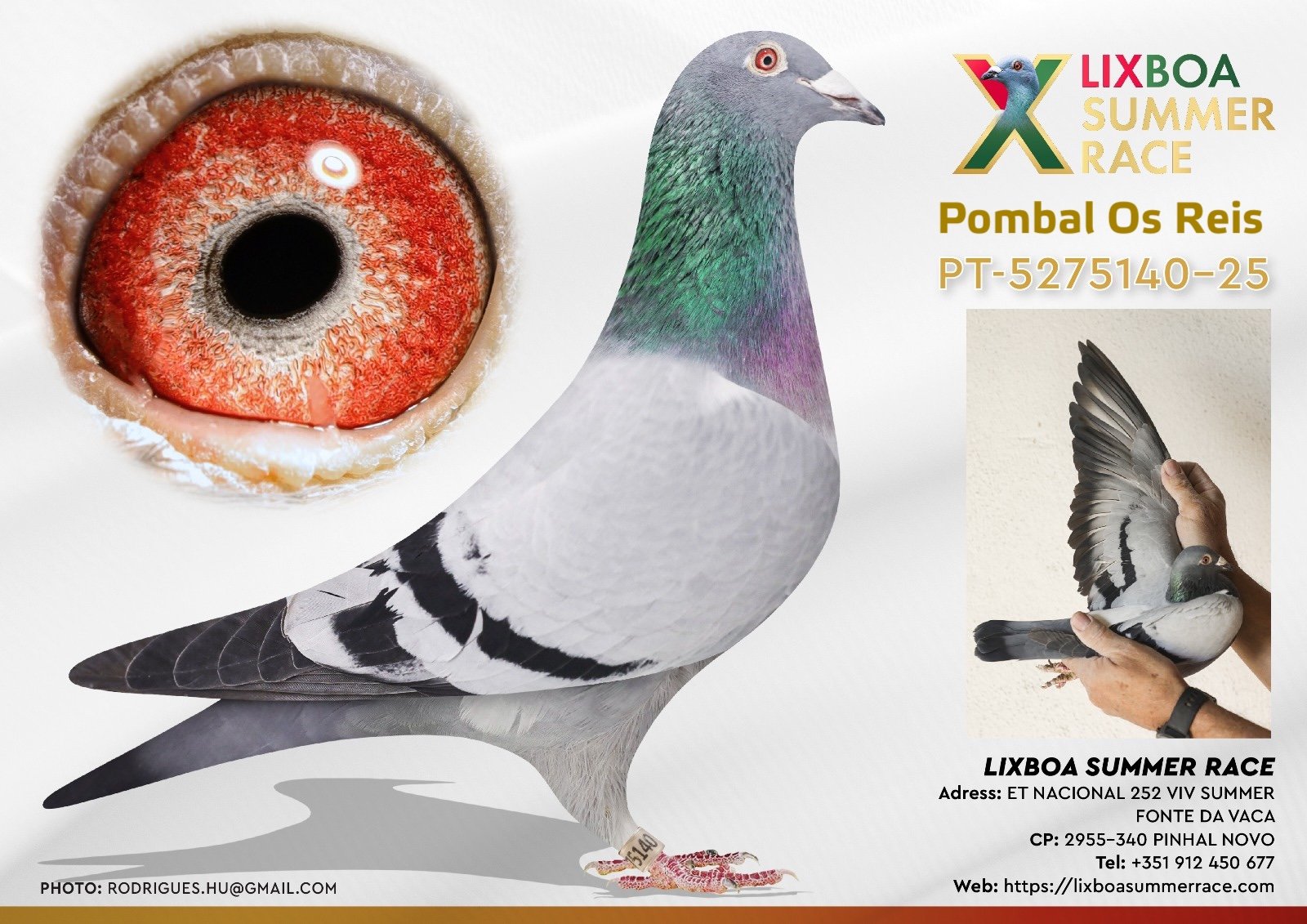 PT-5275140-25 PT-5275140-25 - Image 1