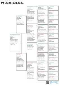 PT-5313321-25 - Image 2