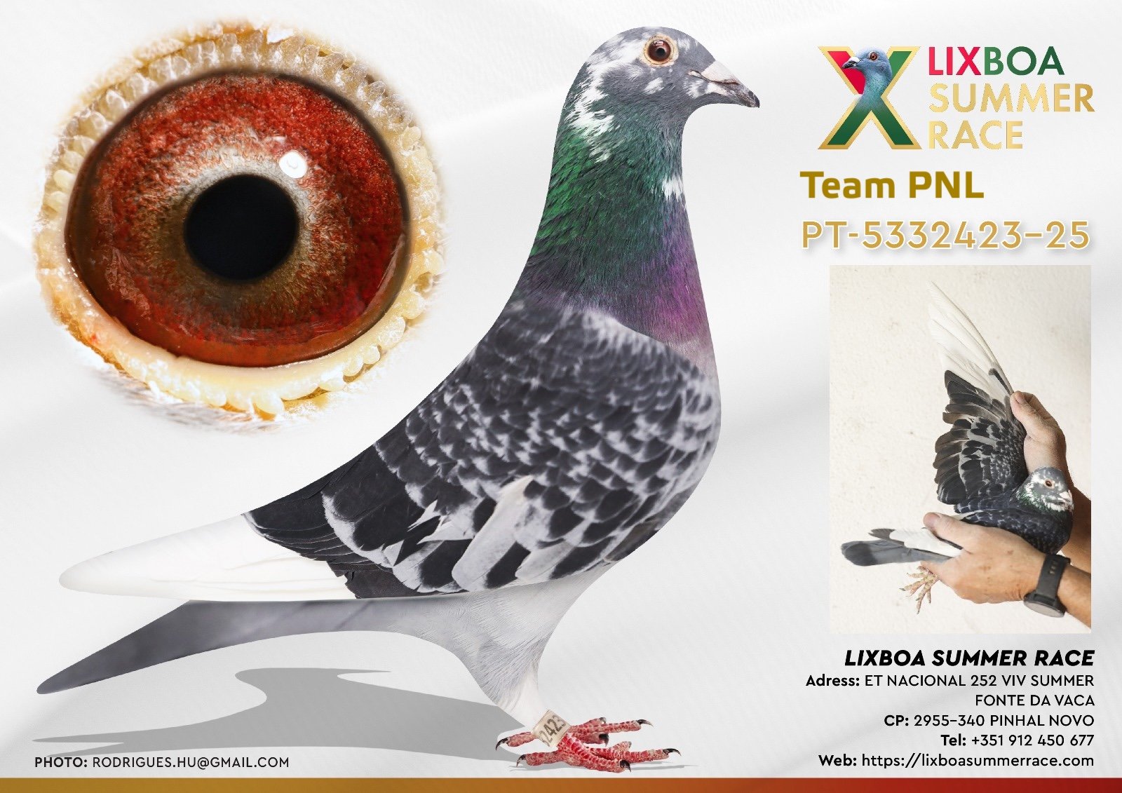 PT-5332423-25 PT-5332423-25 - Image 1