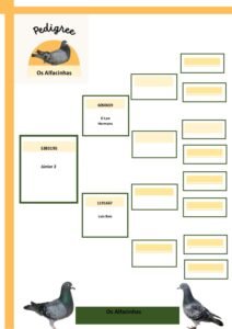 PT-5383195-25 - Image 2