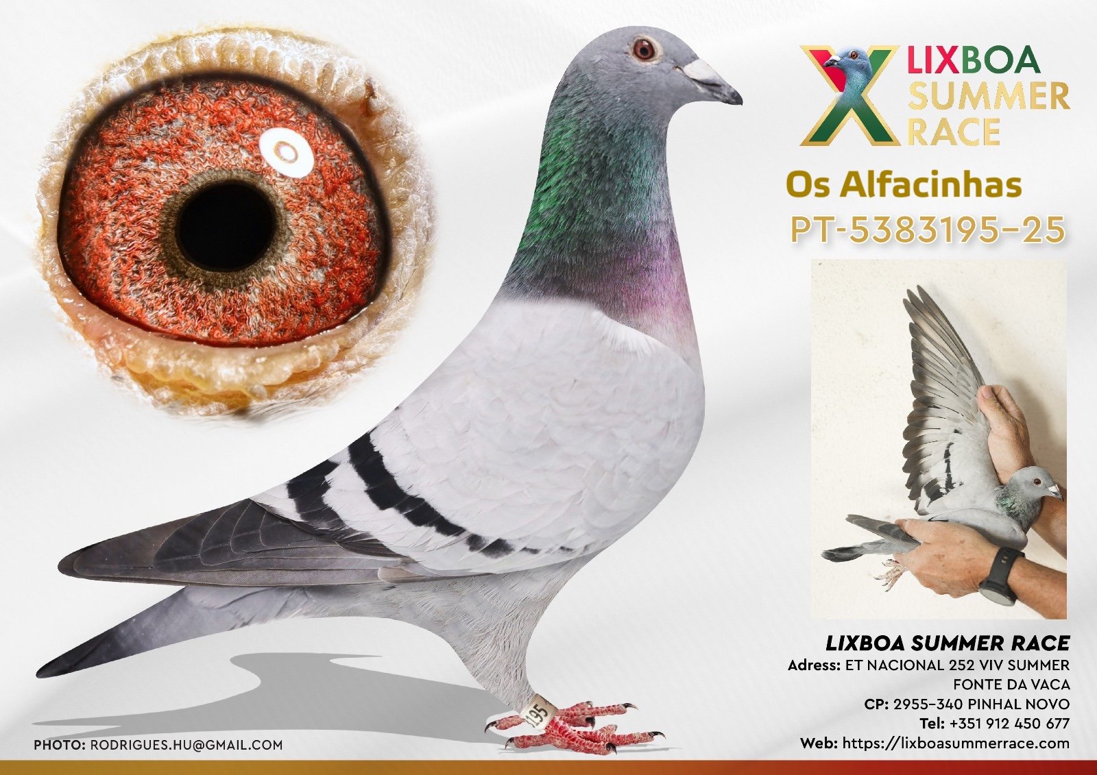 PT-5383195-25 PT-5383195-25 - Image 1