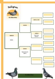 PT-5386329-25 - Image 2