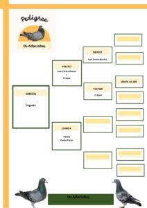 PT-5386331-25 - Image 2