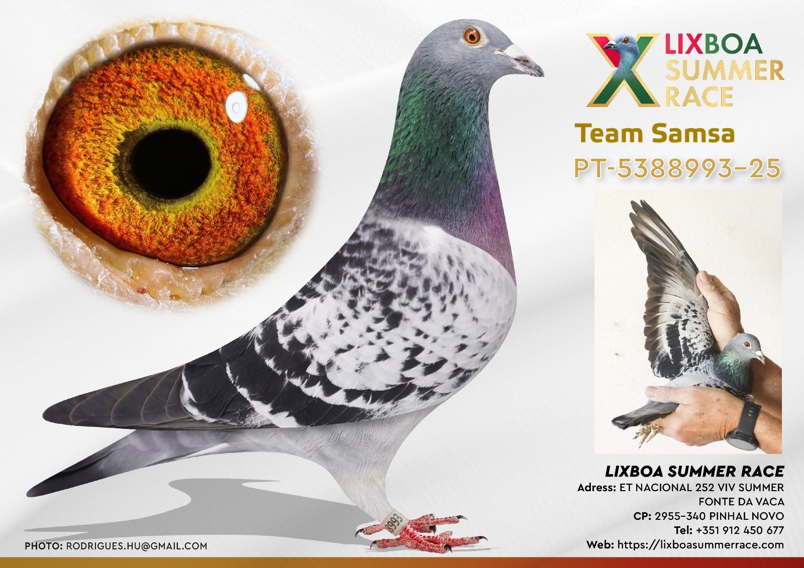 PT-5388993-25 PT-5388993-25 - Image 1