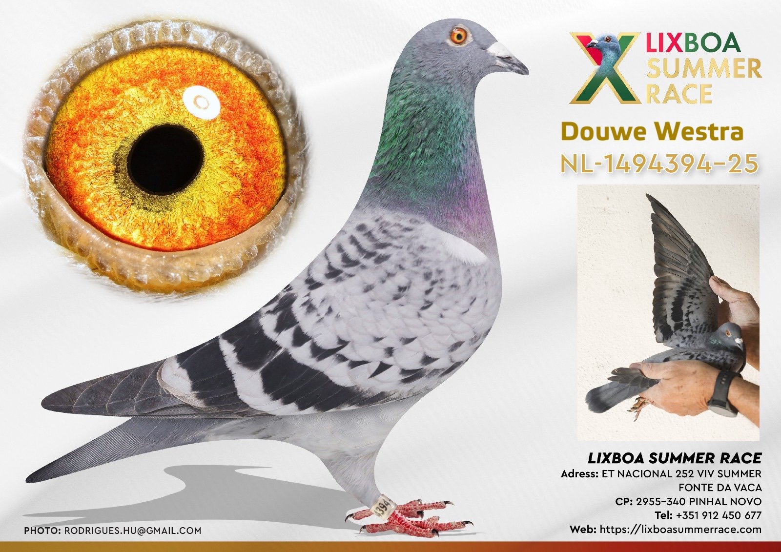 NL-1494394-25 NL-1494394-25 - Image 1