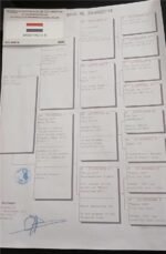 PT-5020968-25 - Image 2