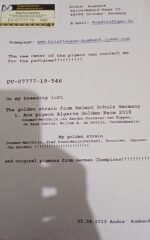 PT-5020968-25 - Image 3