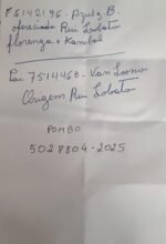 PT-5028804-25 - Image 2