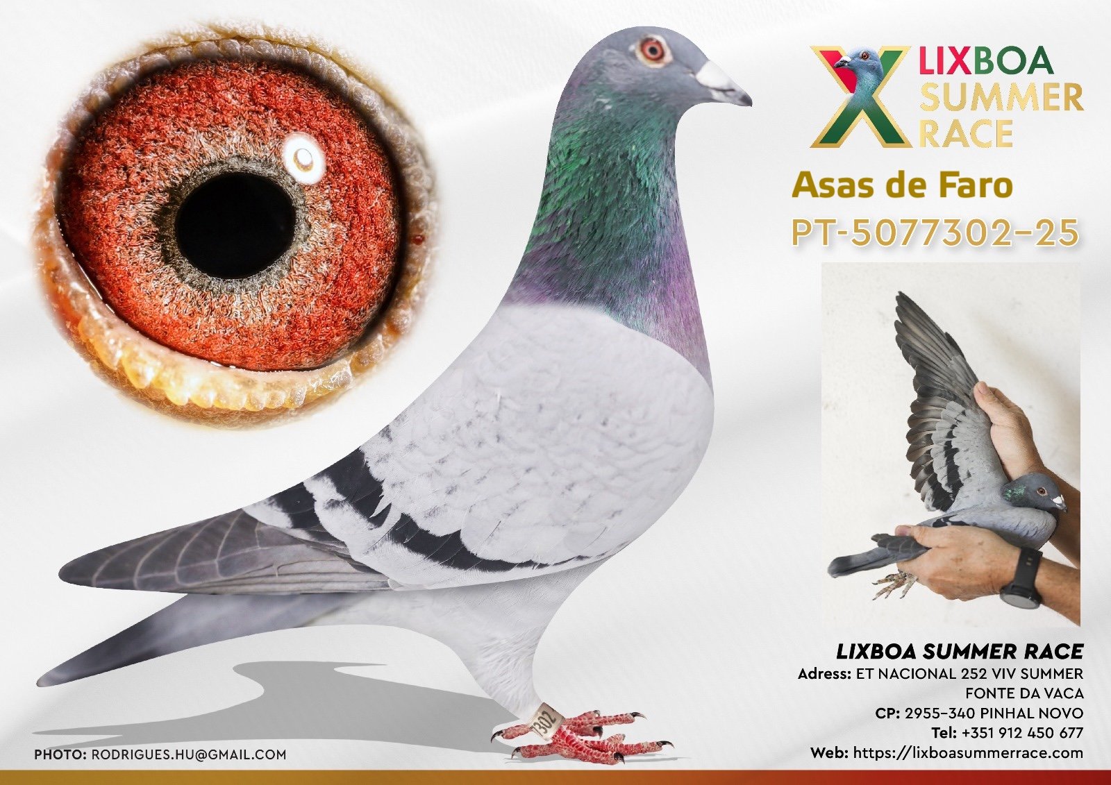 PT-5077302-25 PT-5077302-25 - Image 1