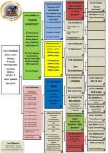 PT-5250324-25 - Image 2