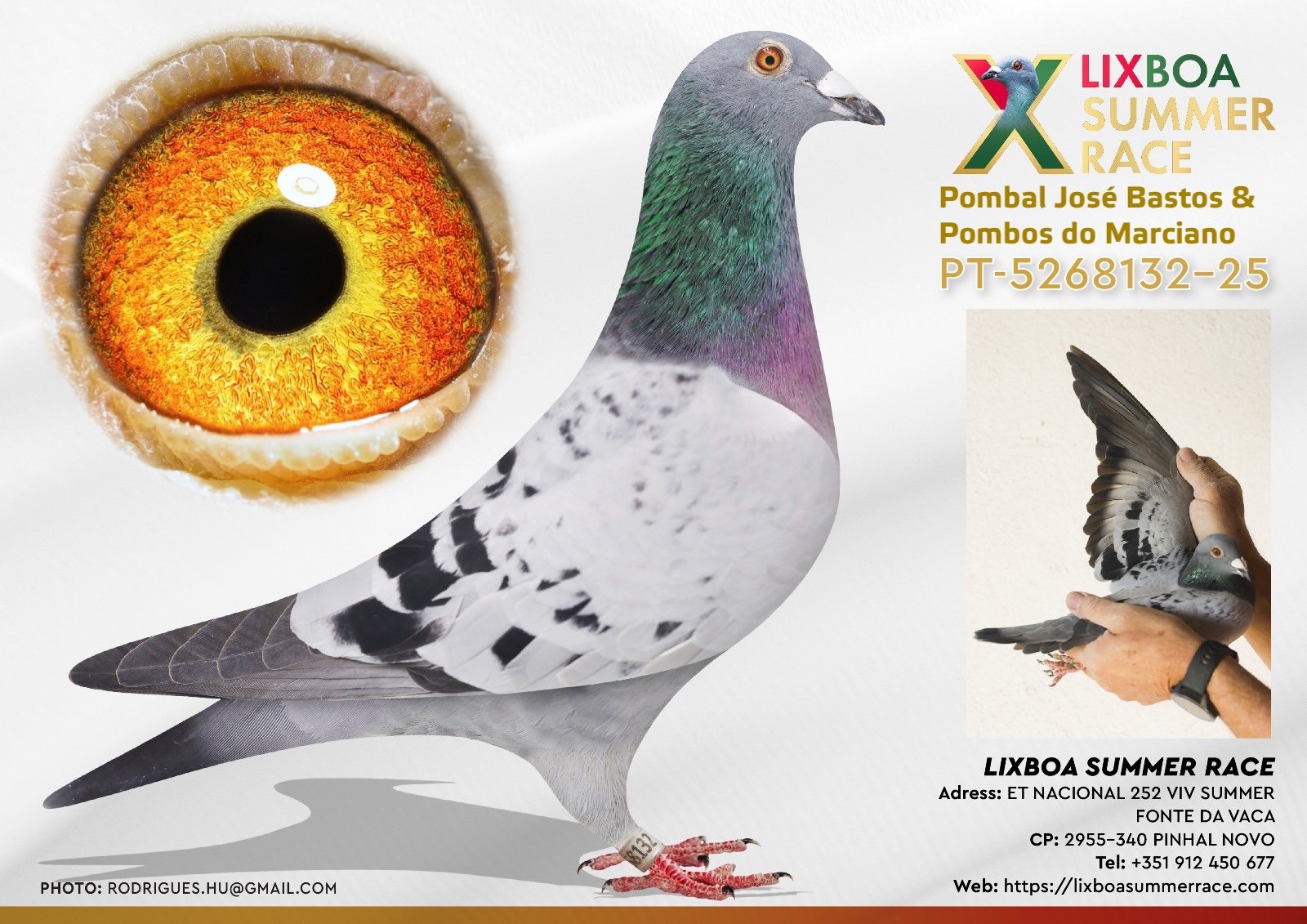 PT-5268132-25 PT-5268132-25 - Image 1