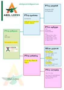 PT-5285120-25 - Image 2