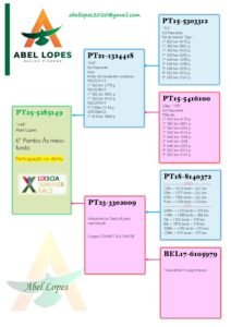 PT-5285149-25 - Image 2