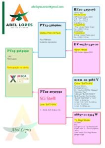 PT-5285290-25 - Image 2